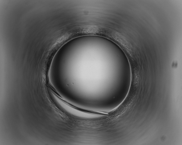 X0000098070681200804041125