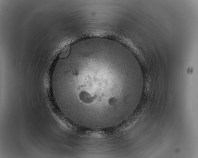 X0000098070683200804041125