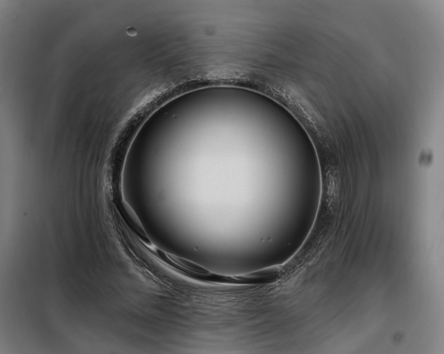 X0000098070684200804041125