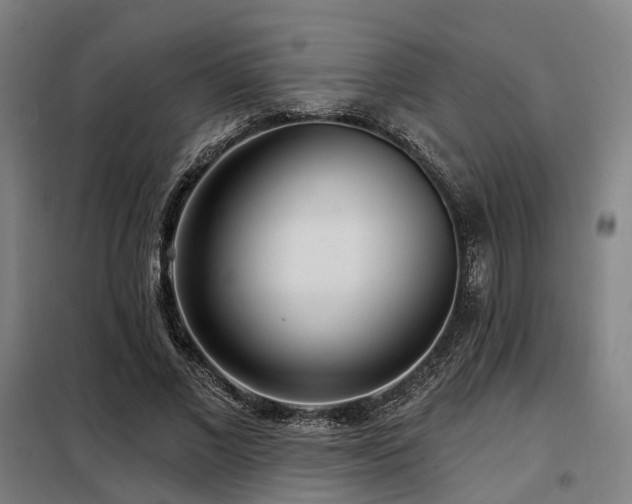 X0000098070685200804041125