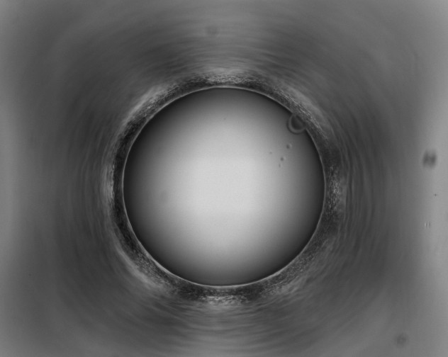 X0000098070686200804041125