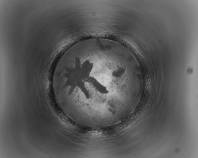 X0000098070687200804041125