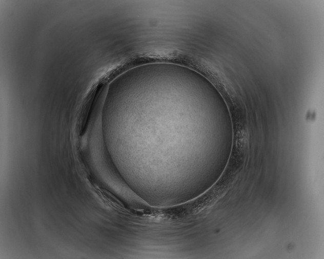 X0000098070688200804041125