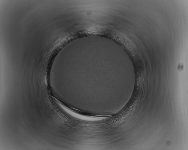 X0000098070689200804041125