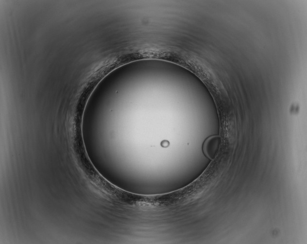 X0000098070690200804041125