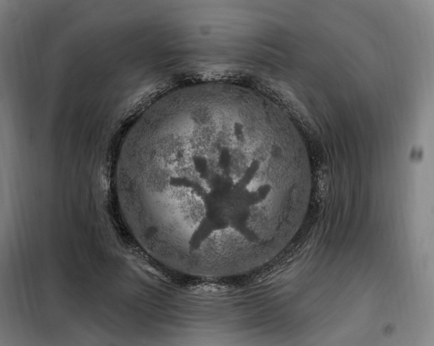 X0000098070691200804041125