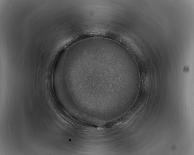 X0000098070692200804041125