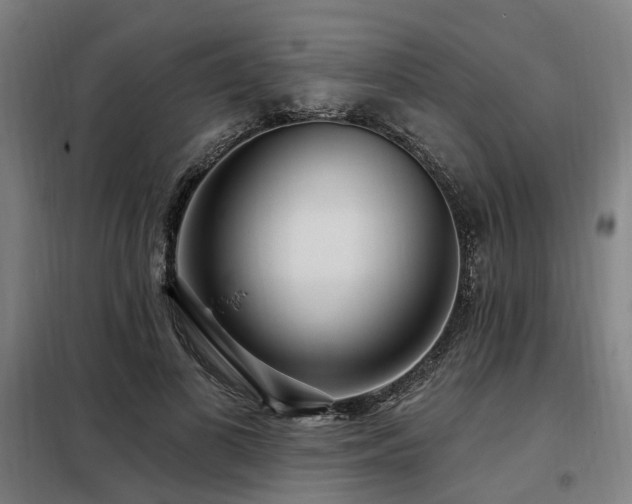 X0000098070693200804041125