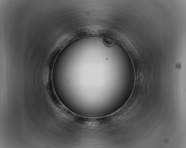 X0000098070694200804041125