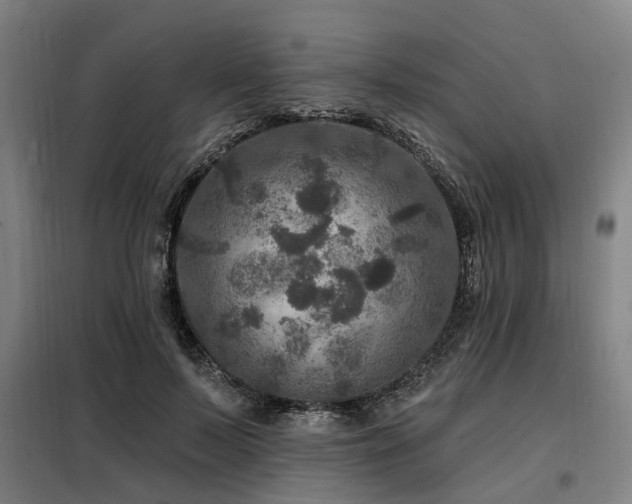 X0000098070695200804041125