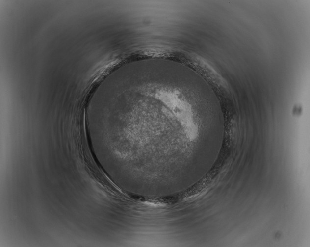 X0000098070696200804041125