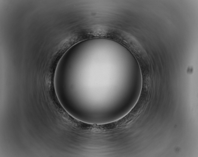 X0000098070697200804041125