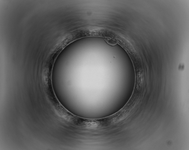 X0000098070698200804041125