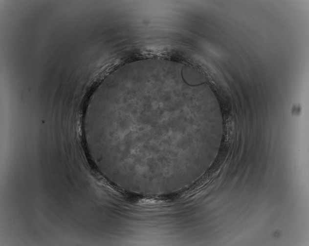 X0000098070699200804041125