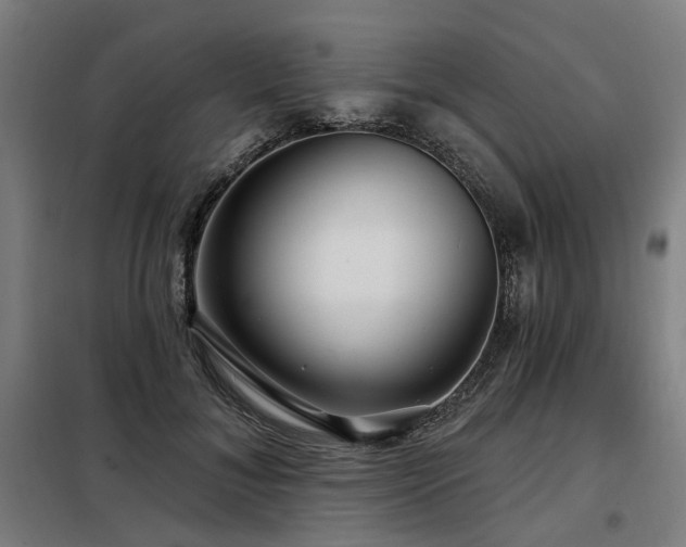 X0000098070700200804041125