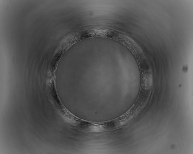 X0000098070701200804041125