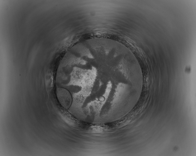 X0000098070703200804041125