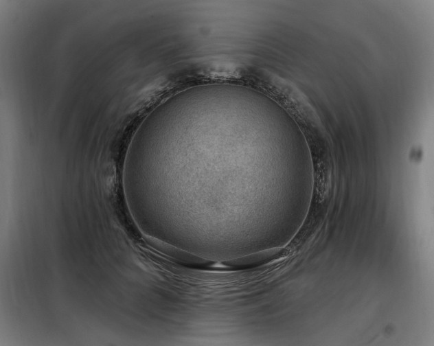 X0000098070704200804041125