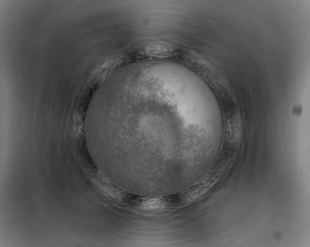 X0000098070705200804041125