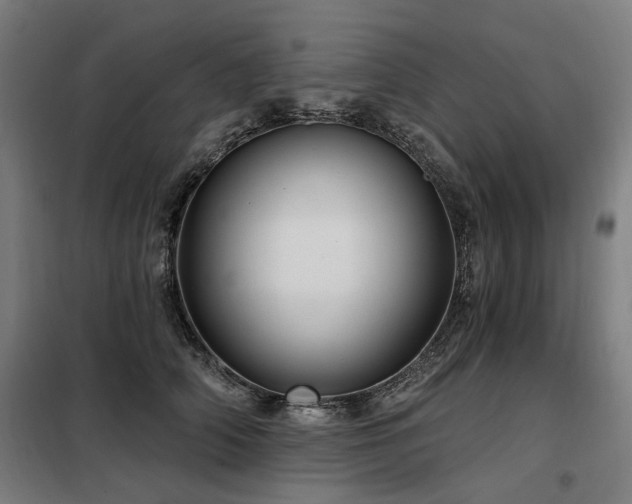 X0000098070706200804041125