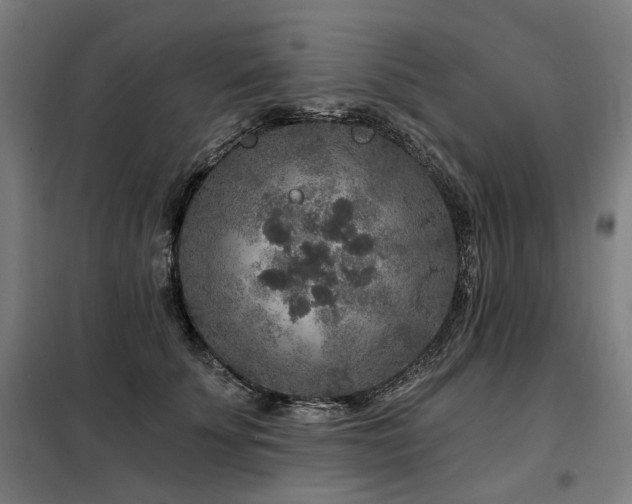 X0000098070707200804041125