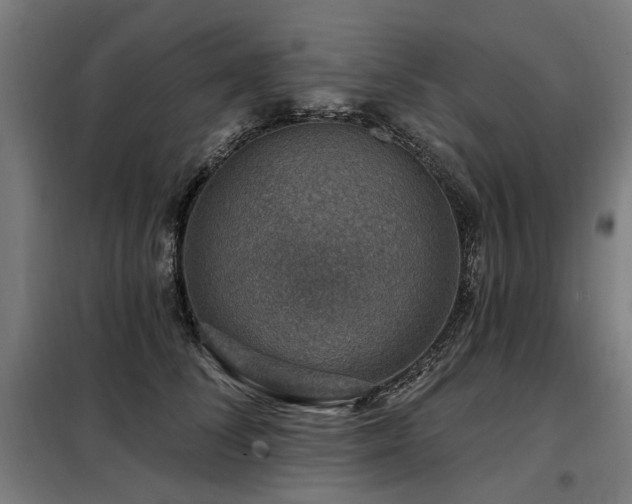 X0000098070708200804041125