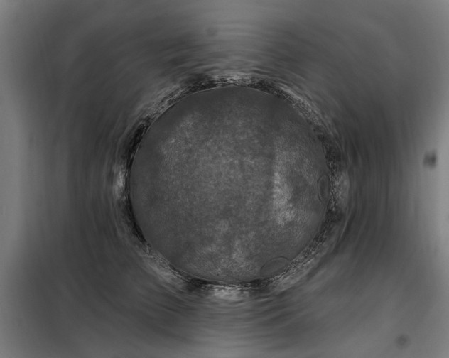 X0000098070709200804041125