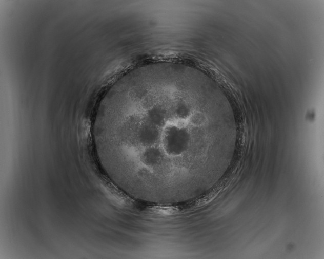 X0000098070711200804041125