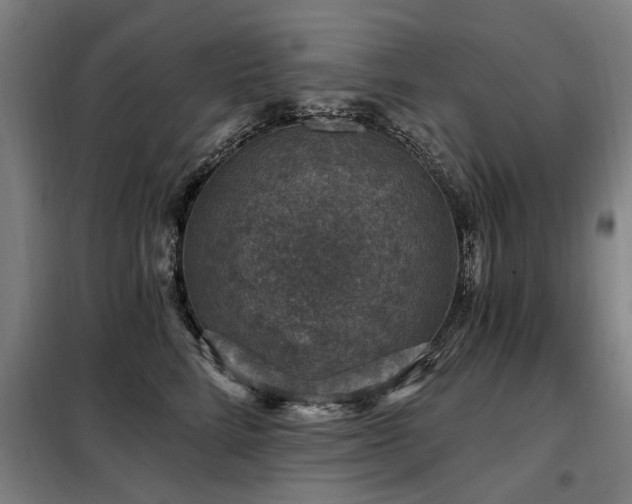 X0000098070712200804041125