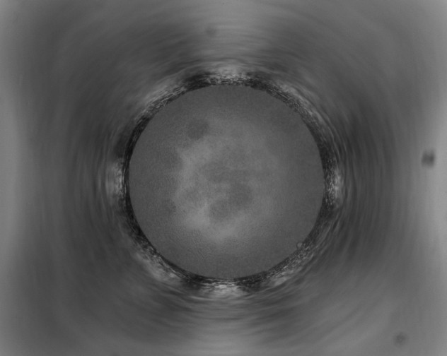 X0000098070715200804041125