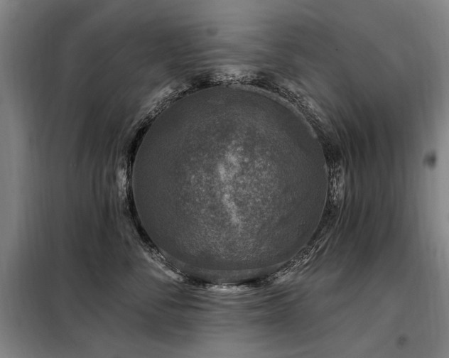 X0000098070716200804041125