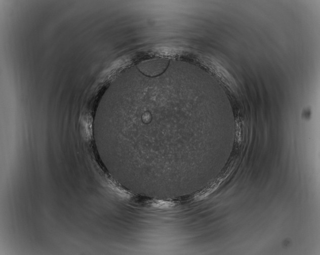 X0000098070718200804041125