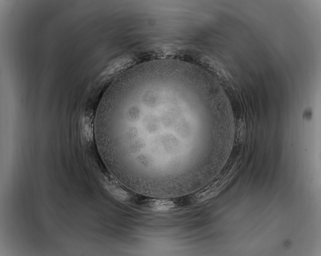 X0000098070719200804041125