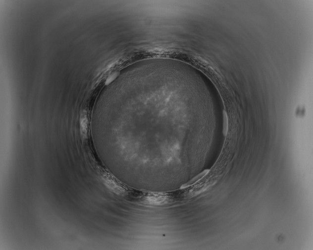 X0000098070720200804041125