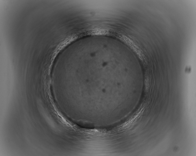 X0000098070721200804041124