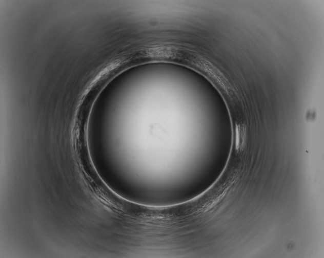 X0000098070723200804041124