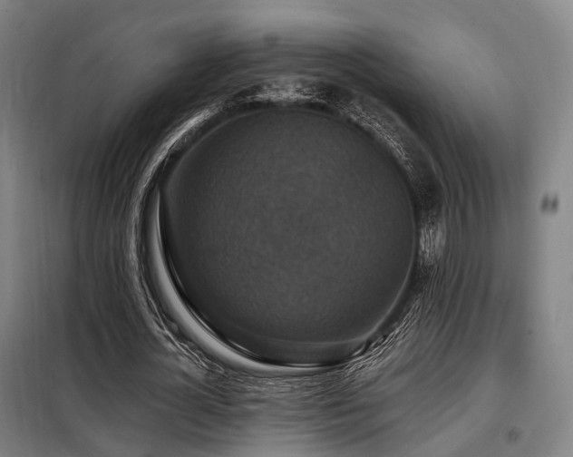 X0000098070724200804041124