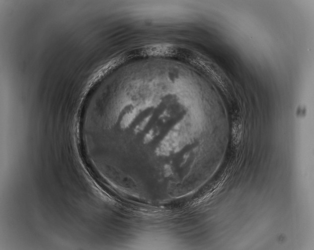 X0000098070725200804041124