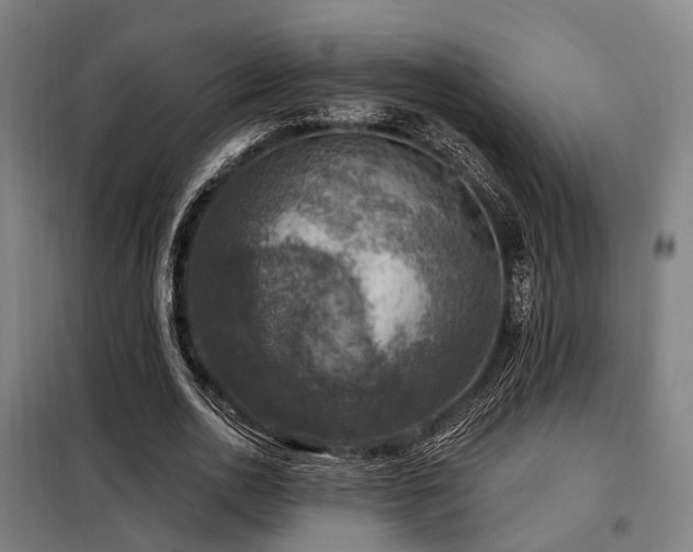 X0000098070726200804041124