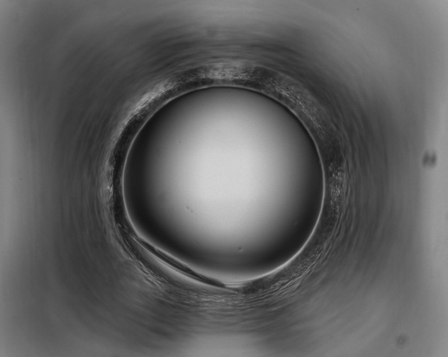 X0000098070727200804041124