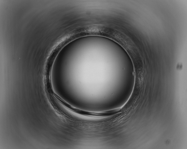 X0000098070728200804041124