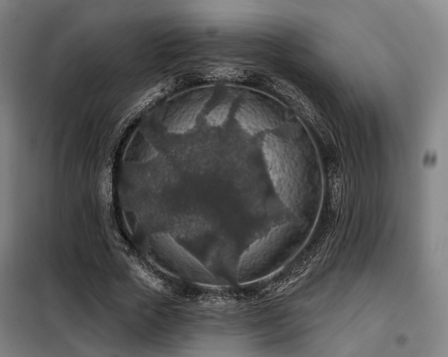 X0000098070729200804041124