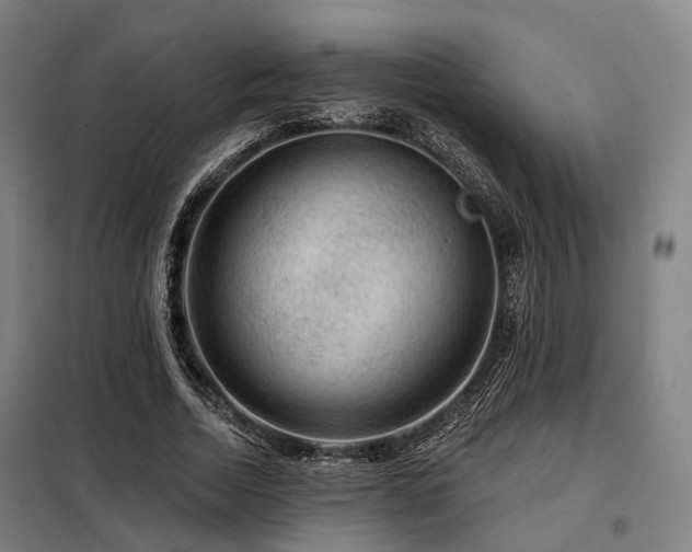 X0000098070730200804041124