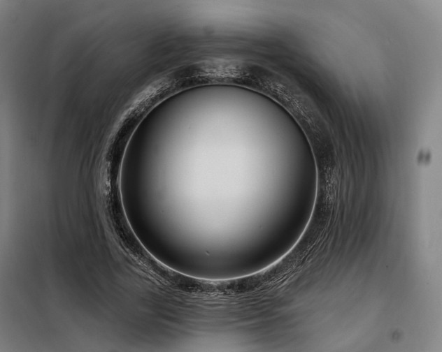 X0000098070731200804041124