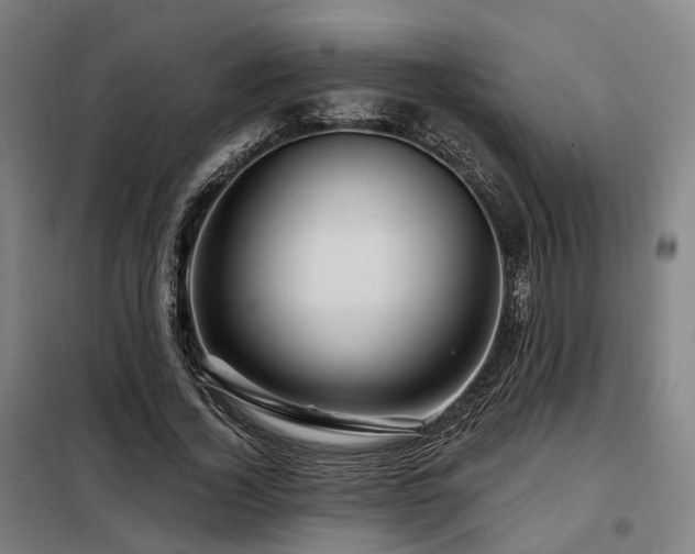 X0000098070732200804041124