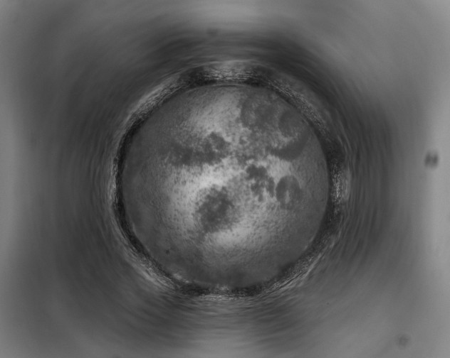 X0000098070733200804041124