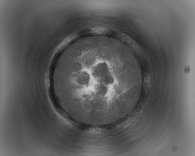 X0000098070734200804041124