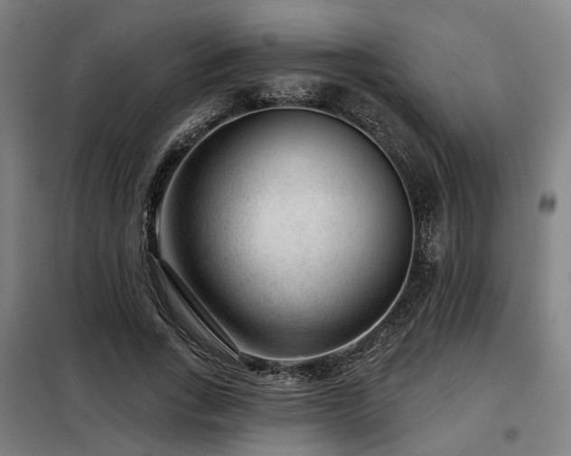 X0000098070735200804041124