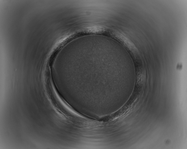 X0000098070736200804041124