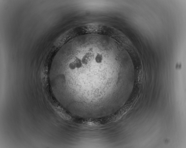 X0000098070737200804041124